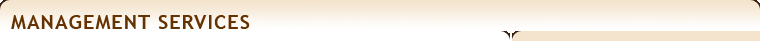 Management Services