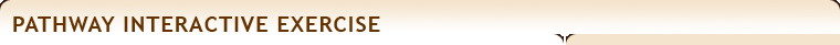 Pathway Interactive Exercise